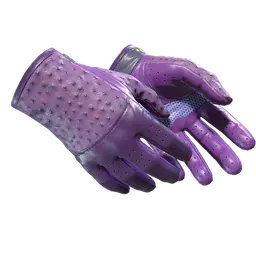 ★ Driver Gloves | Plum Quill