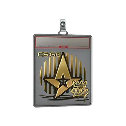 Sticker Slab | Astralis (Gold) | 2020 RMR