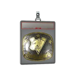 Sticker Slab | Virtus.Pro (Gold) | Austin 2025