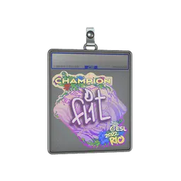 Sticker Slab | FL1T (Champion) | Rio 2022