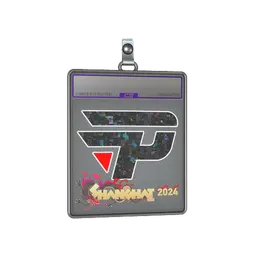 Sticker Slab | paiN Gaming (Glitter) | Shanghai 2024