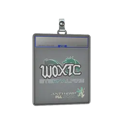 Sticker Slab | woxic | Antwerp 2022