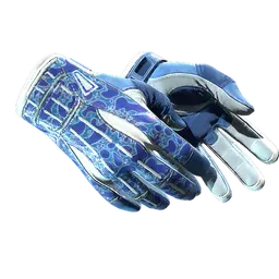 ★ Sport Gloves | Amphibious