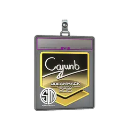 Sticker Slab | cajunb (Foil) | Cluj-Napoca 2015