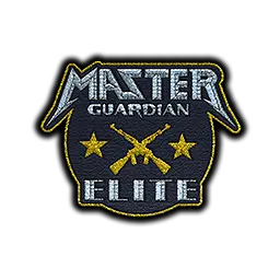 Patch | Metal Master Guardian Elite