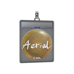 Sticker Slab | Aerial | Katowice 2019