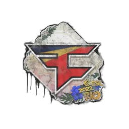 Sealed Graffiti | FaZe Clan | Rio 2022