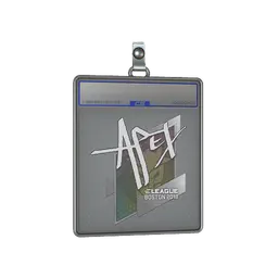 Sticker Slab | apEX | Boston 2018