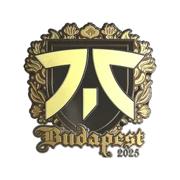 Sticker | fnatic (Gold) | Budapest 2025