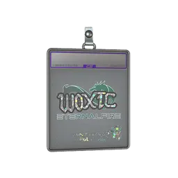 Sticker Slab | woxic (Glitter) | Antwerp 2022