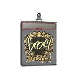 Sticker Slab | broky (Gold) | Budapest 2025
