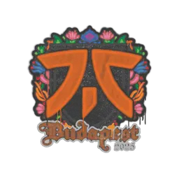 Sealed Graffiti | fnatic | Budapest 2025