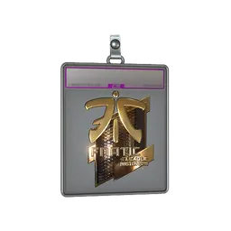 Sticker Slab | Fnatic (Gold) | Boston 2018