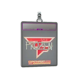 Sticker Slab | frozen (Holo) | Copenhagen 2024