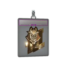 Sticker Slab | G2 Esports (Gold) | Boston 2018