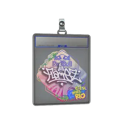 Sticker Slab | FlameZ | Rio 2022
