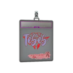 Sticker Slab | TeSeS (Holo) | Antwerp 2022