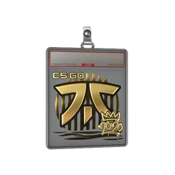 Sticker Slab | Fnatic (Gold) | 2020 RMR