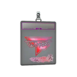 Sticker Slab | Twistzz (Holo) | Antwerp 2022