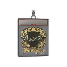 Sticker Slab | slaxz- (Gold) | Budapest 2025