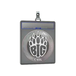Sticker Slab | BIG | Katowice 2019