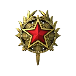 2020 Service Medal