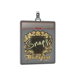 Sticker Slab | Snappi (Gold) | Budapest 2025