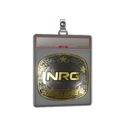 Sticker Slab | NRG (Gold) | Austin 2025