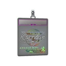 Sticker Slab | karrigan (Holo, Champion) | Antwerp 2022