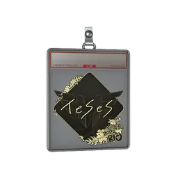 Sticker Slab | TeSeS (Gold) | Rio 2022