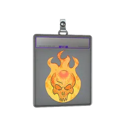 Sticker Slab | Incineration (Holo)