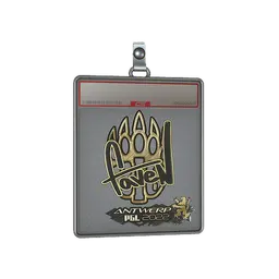 Sticker Slab | faveN (Gold) | Antwerp 2022