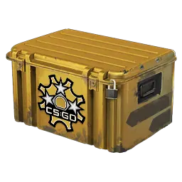 Revolver Case