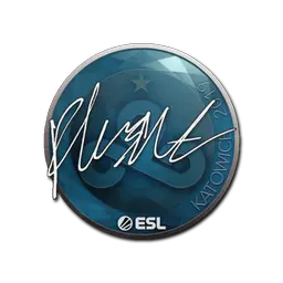 Sticker | flusha | Katowice 2019