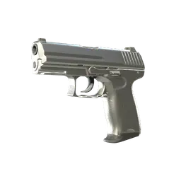P2000 | Silver