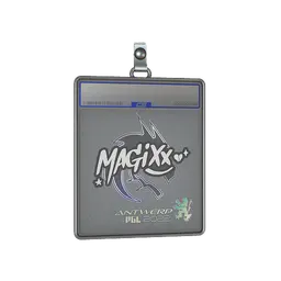 Sticker Slab | magixx | Antwerp 2022