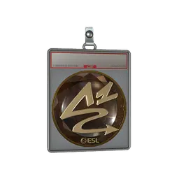 Sticker Slab | ANGE1 (Gold) | Katowice 2019