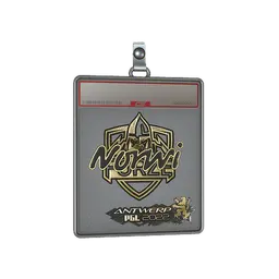 Sticker Slab | Norwi (Gold) | Antwerp 2022