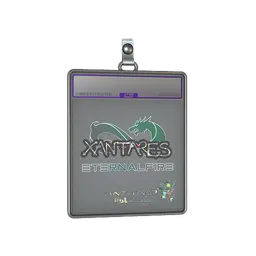 Sticker Slab | XANTARES (Glitter) | Antwerp 2022