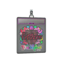 Sticker Slab | frozen (Holo) | Budapest 2025
