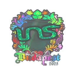 Sticker | INS (Holo) | Budapest 2025