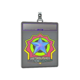 Sticker Slab | Distinguished Master Guardian (Holo)