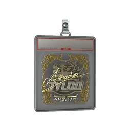 Sticker Slab | Attacker (Gold) | Austin 2025