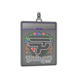 Sticker Slab | paiN Gaming (Embroidered) | Budapest 2025