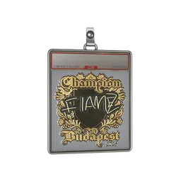 Sticker Slab | FlameZ (Gold, Champion) | Budapest 2025