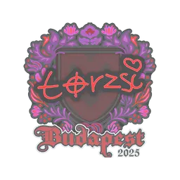 Sticker | torzsi | Budapest 2025