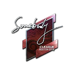 Sticker | somebody (Foil) | Boston 2018