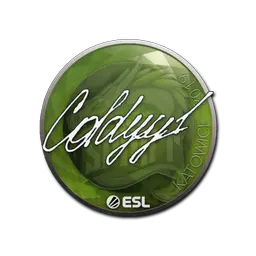 Sticker | COLDYY1 | Katowice 2019