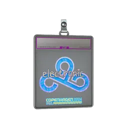 Sticker Slab | electronic (Holo) | Copenhagen 2024