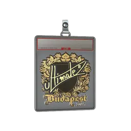Sticker Slab | ultimate (Gold) | Budapest 2025